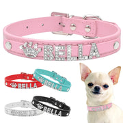 Personalized Rhinestone Dog Collar - Free Charms & Letters Included!